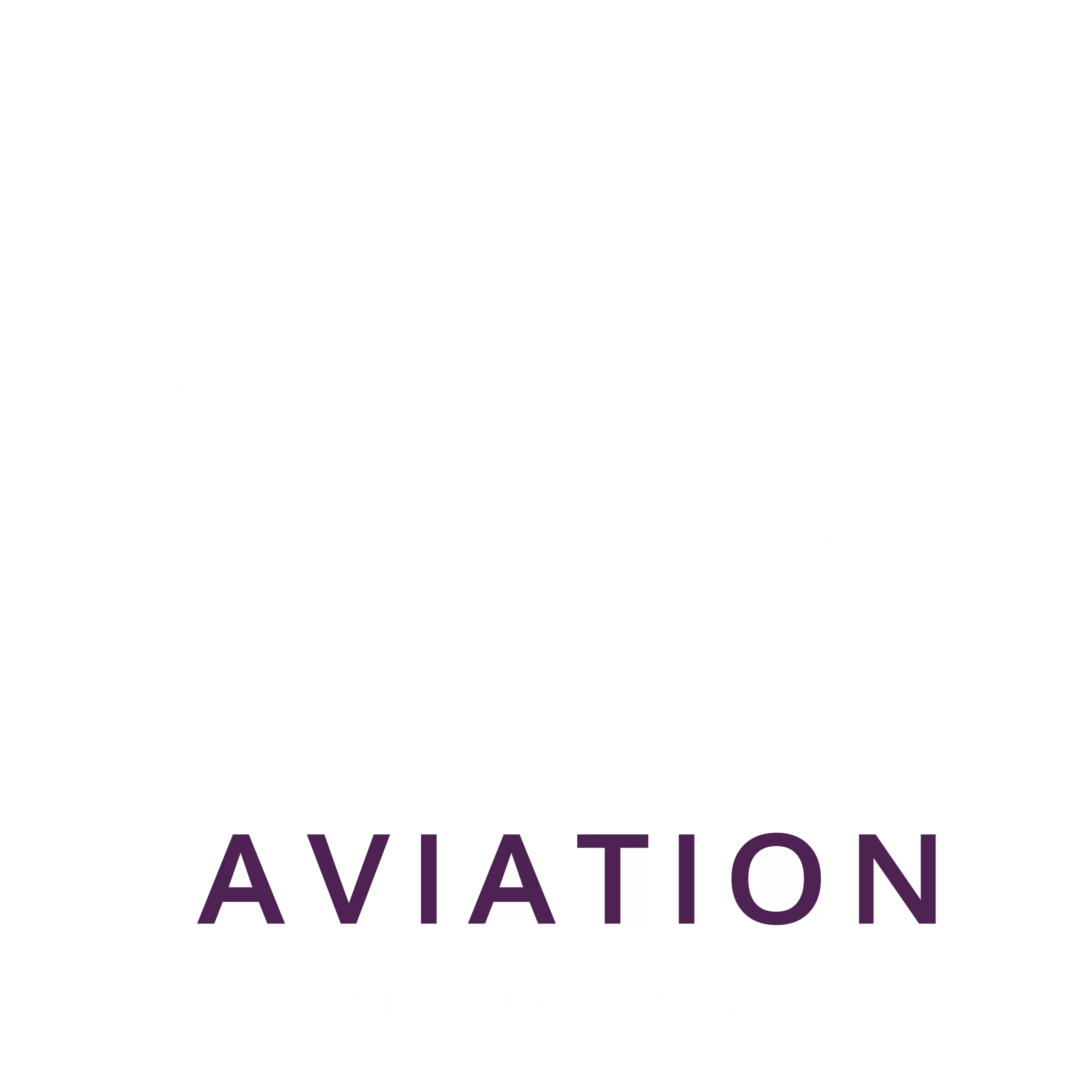 FlySBS Aviation logo