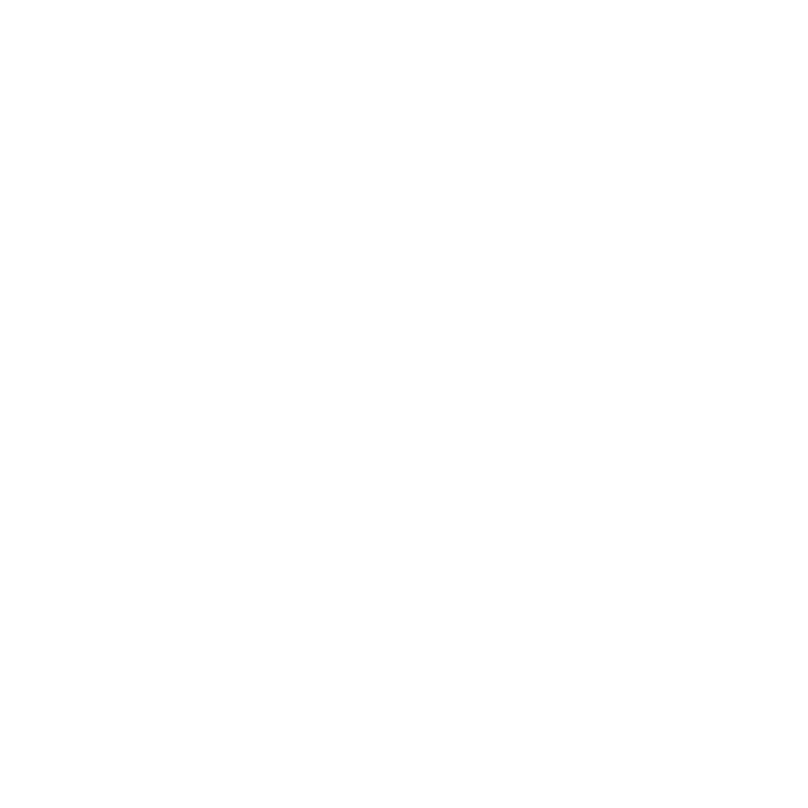 Expert Aviation Support